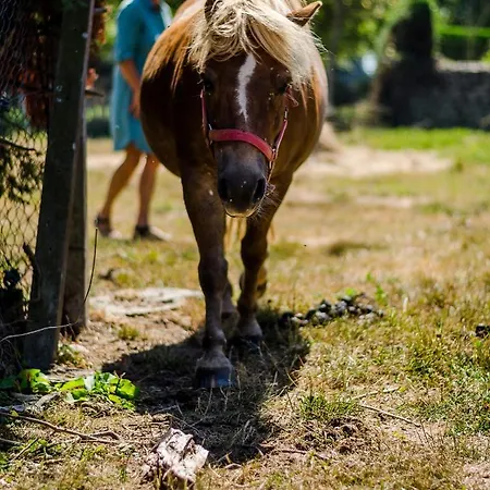 Ferme Du Loucel 3* קולוויל-סור-מר
