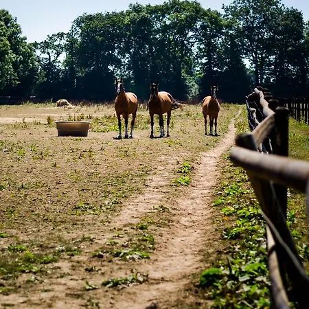 בית הארחה Ferme Du Loucel קולוויל-סור-מר