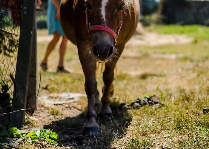Ferme Du Loucel 3* 콜레빌 쉬르메흐