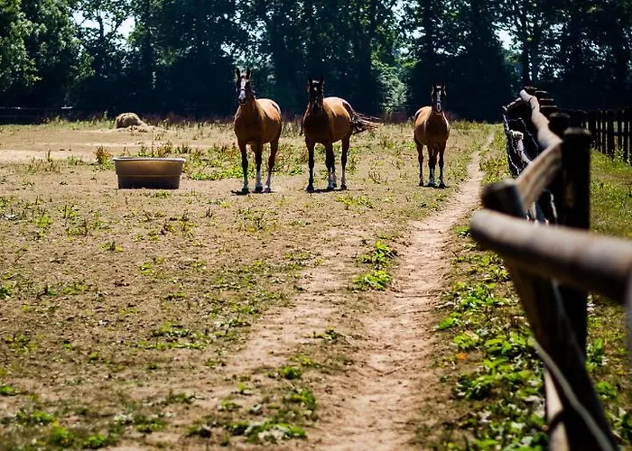 Πανσιόν Ferme Du Loucel Colleville-sur-Mer